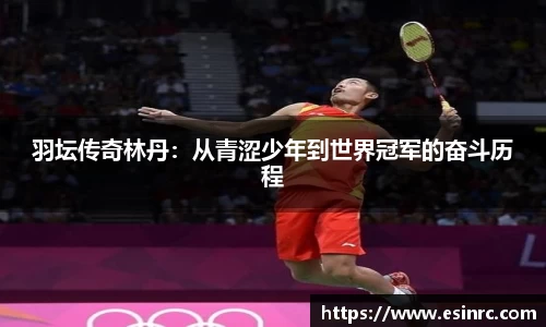 yy易游