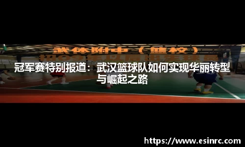 yy体育