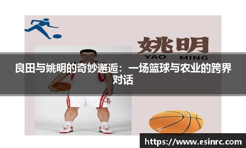 yy易游体育