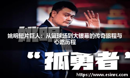 yy体育