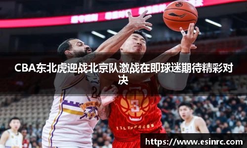 CBA东北虎迎战北京队激战在即球迷期待精彩对决