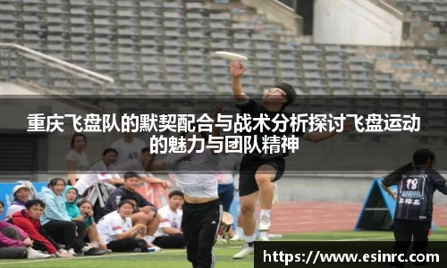 yy体育