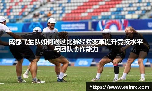 成都飞盘队如何通过比赛经验变革提升竞技水平与团队协作能力